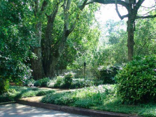 Perrin Guest House Inn Augusta Ngoại thất bức ảnh